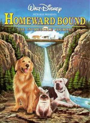 Retour au Bercail: L'Incroyable Randonne - Homeward Bound: The Incredible Journey