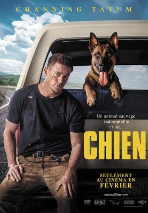 Chien - Dog