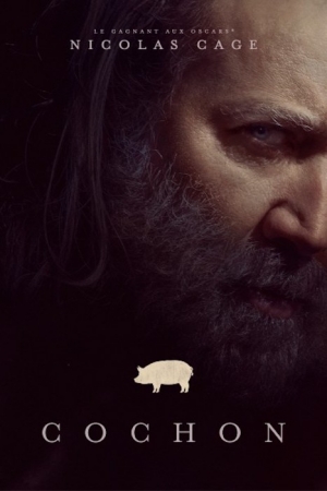 Cochon - Pig