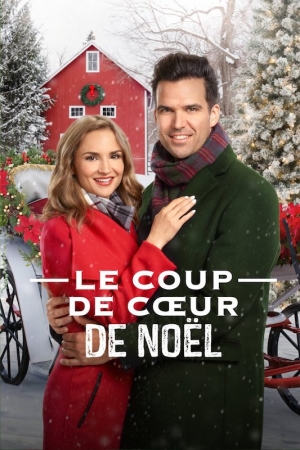 Le coup de coeur de Nol - A Blue Ridge Mountain Christmas (tv)
