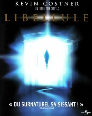 Libellule - Dragonfly