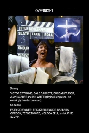 Film chaud pour acteur froid - Overnight (Not another dirty little movie)