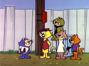 Pacha - Top Cat