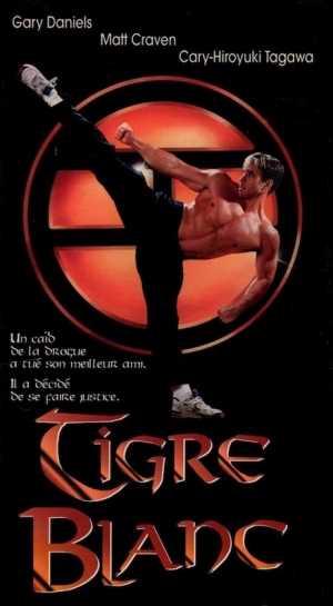 Tigre blanc - White Tiger (v)