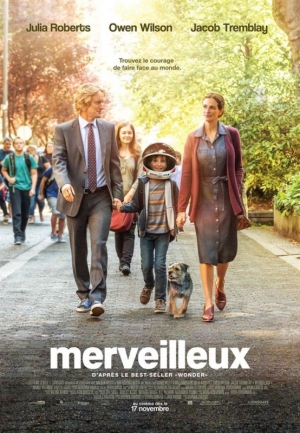 Merveilleux - Wonder